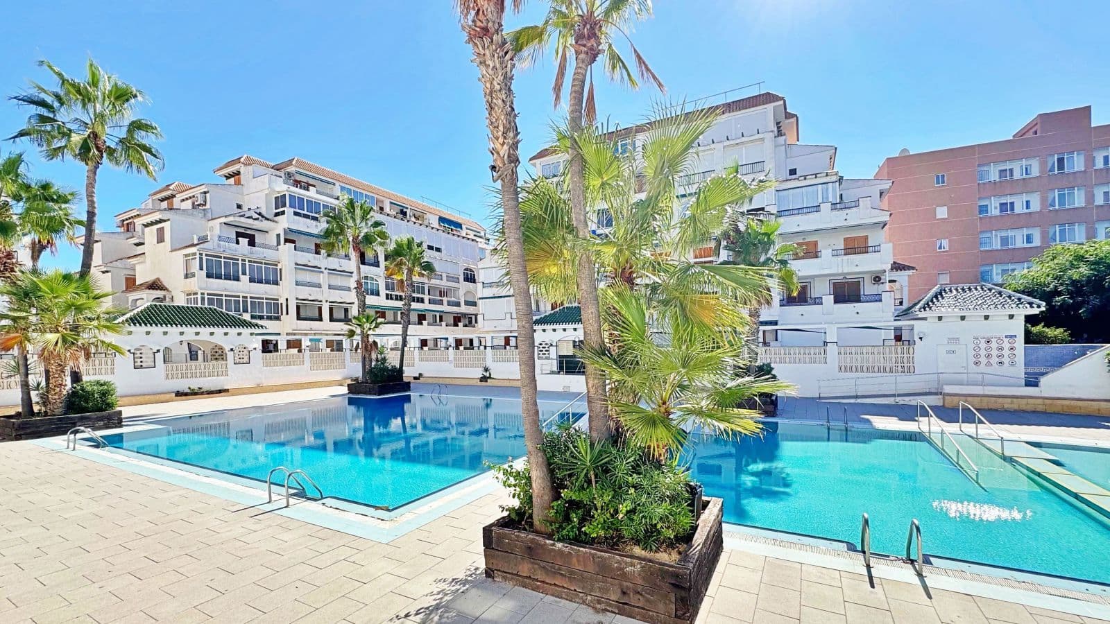 Apartment Torrevieja Vorschau 3