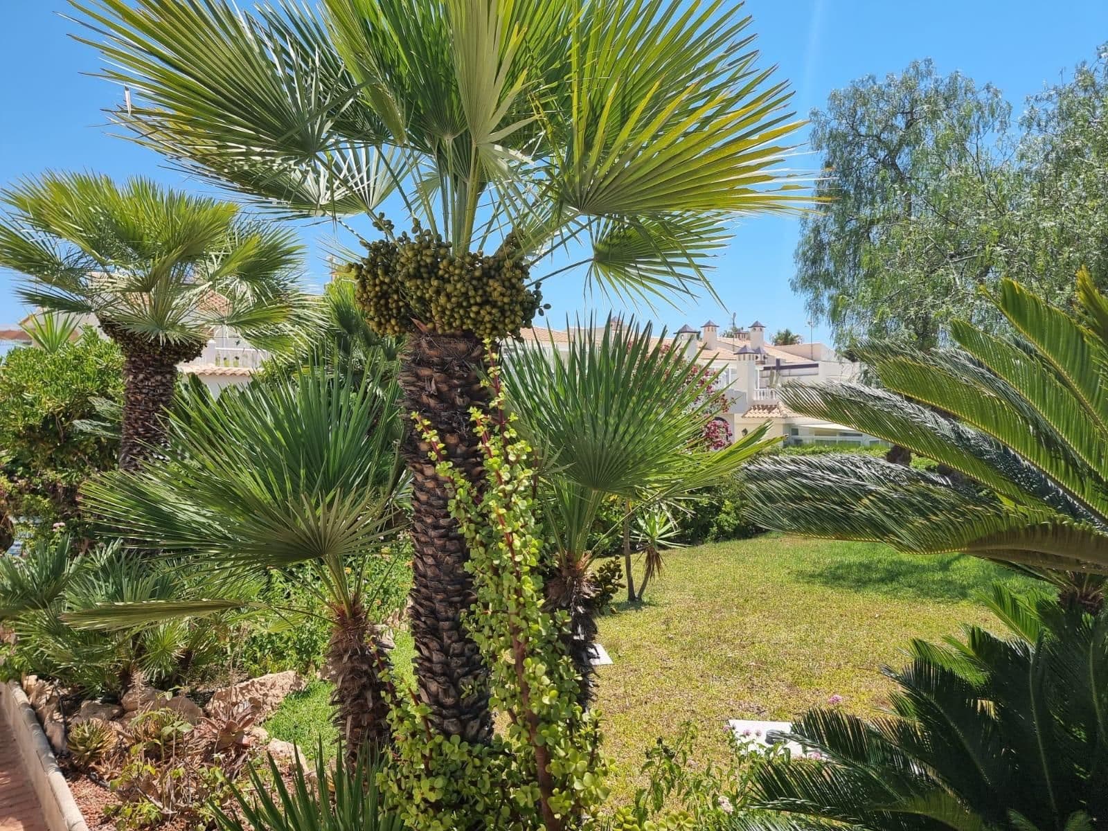 A la venta este precioso apartamento en el idílico residencial Miraflores en la Costa Blan Vorschau 5