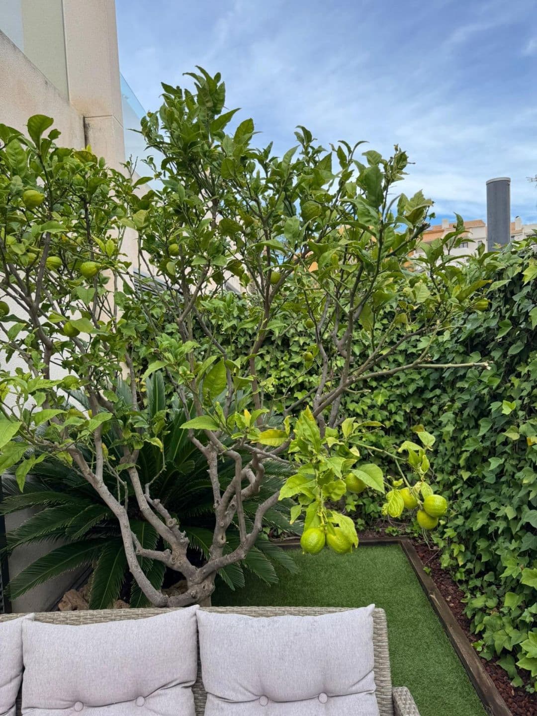 Descubre este encantador chalet adosado ubicado en la deseada zona de Punta Prima, Torrevi Vorschau 3