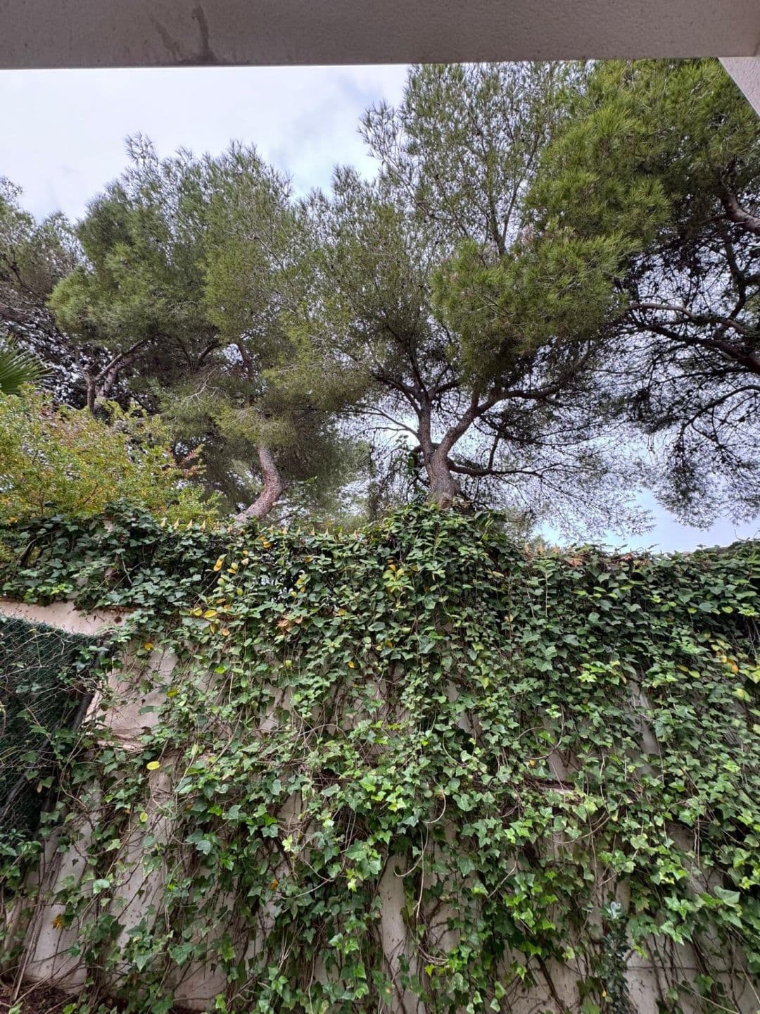 Descubre este encantador chalet adosado ubicado en la deseada zona de Punta Prima, Torrevi Vorschau 4