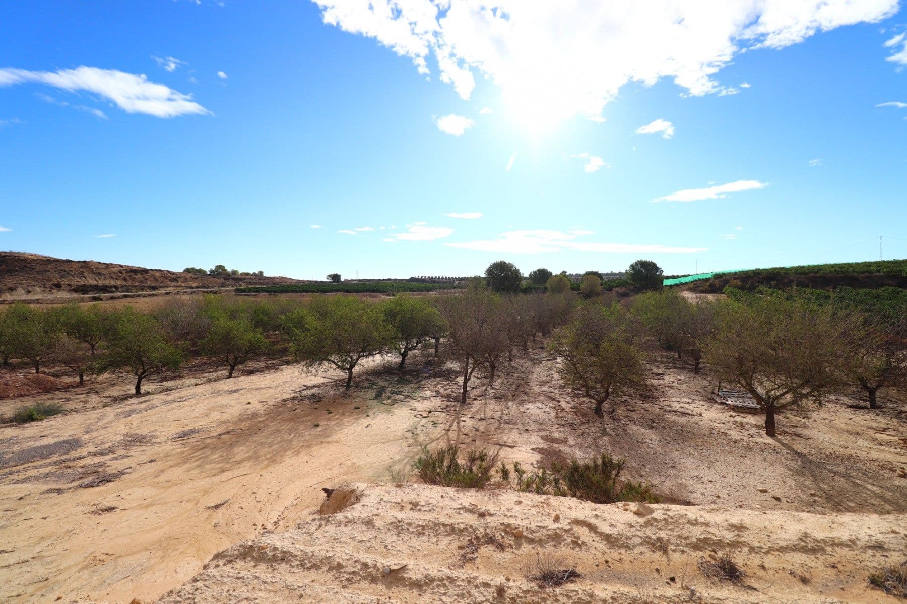 Plot Orihuela Vorschau 3